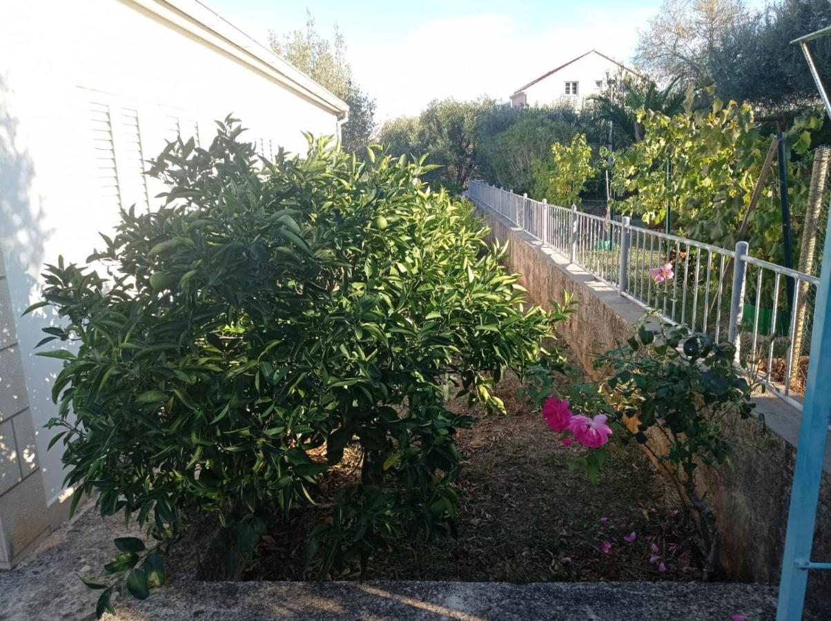 My Mediterranean Villa With Huge Garden And Own Parking لومباردا المظهر الخارجي الصورة